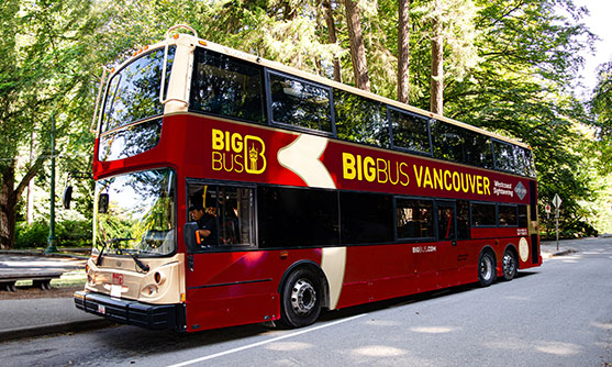 Our buses